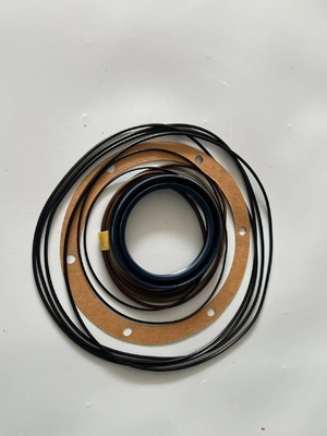 923976.6881 مجموعات إصلاح أجهزة الحد الدوار Kalmar Reach Stacker Parts